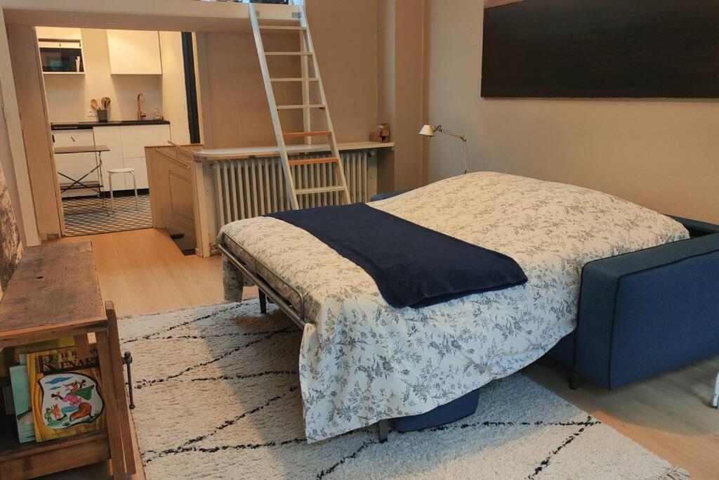 Joli Studio Dans Maison De Maitre Collonges-au-Mont-d'Or Bagian luar foto